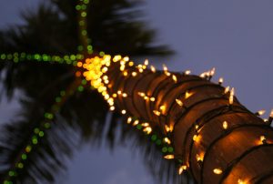holiday-lights-spectacular-sarasota
